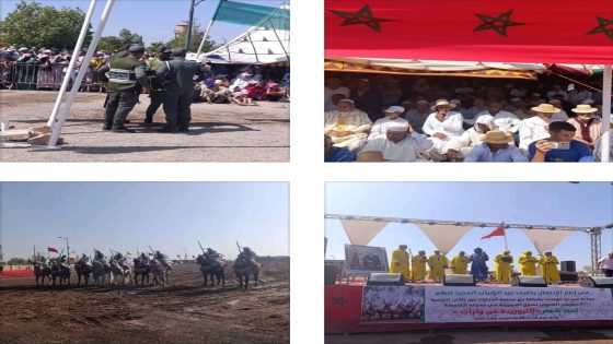 موسم سيدي موسى بن قرقور للتبوريدة: روعة التنظيم وإبداع الفرسان