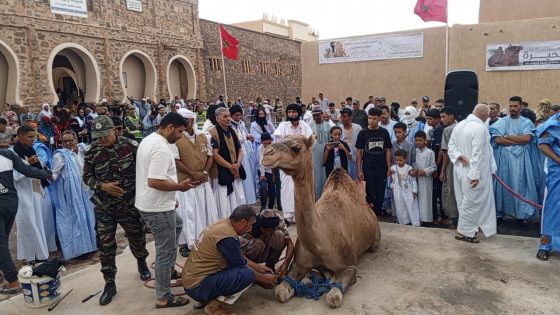 موسم زاوية آسا ملكى الصالحين 2025: روحانية متجددة واحتفاء بذكرى مولد النبي