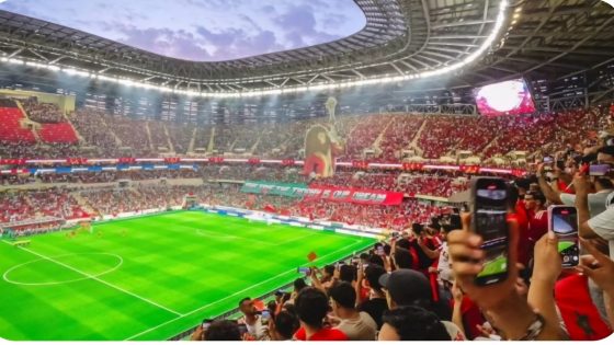 100 يوم تفصلنا عن كأس إفريقيا 2025: كل ما تحتاج معرفته عن بيع التذاكر وأبرز التفاصيل