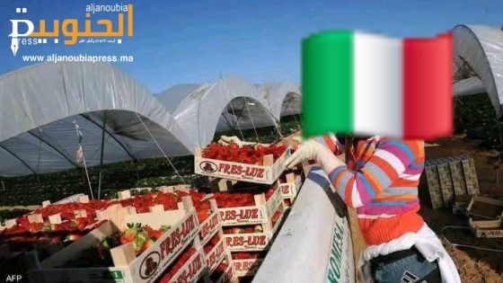 العقود الإيطالية لسنة 2024: بين الأرقام المعلنة والواقع الميداني