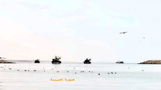 “هجرة سرية إلى أوروبا: البحرية الملكية تلاحق مركب صيد سرق في طانطان – مصير الحالمين بالحرية مجهول!”