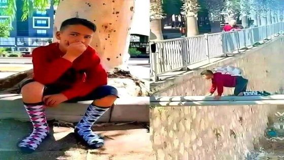 طفل سوري يبهر العالم بشجاعته: إنقاذ قطة عالقة بفضل شجاعته