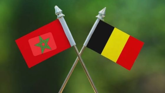 بلجيكا تعلن دعمها لمبادرة الحكم الذاتي في الصحراء المغربية وتتعهد بتكييف مواقفها الدبلوماسية والاقتصادية