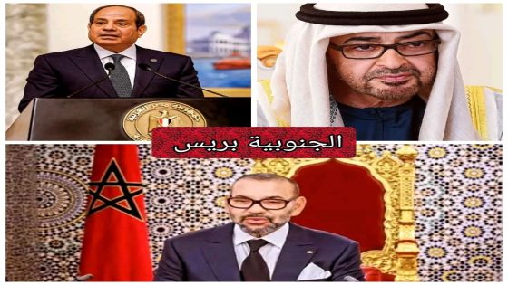 لقاء سري في القاهرة: اجتماع صاحب الجلالة الملك محمد السادس، ومحمد بن زايد، والسيسي
