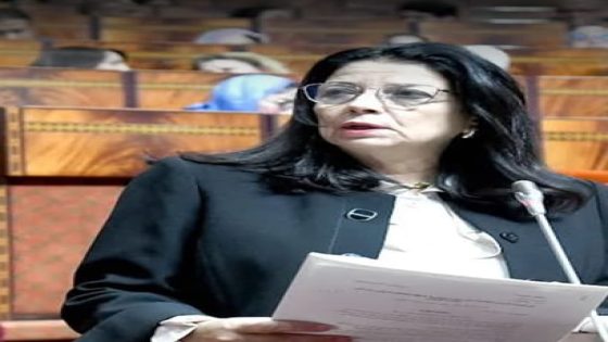 تحديث الاستراتيجية الوطنية لمحاربة الفساد: وزارة الانتقال الرقمي تُعلن عن تعزيز آليات الشفافية والحوكمة