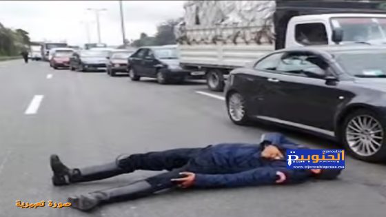 كلاب ضالة تودي بحياة شرطي مرور بوجدة: من يتحمل المسؤولية؟