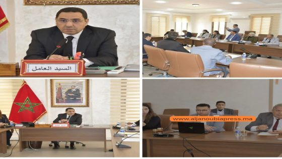 طاطا تطلق مشروع تأهيل النباتات الطبية والعطرية لتعزيز الاقتصاد المحلي