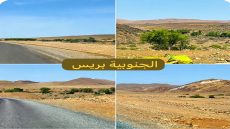 أركان طانطان يتعرض للإبادة.. وضرورة إدراج الإقليم ضمن وكالة تنمية الواحات وشجر الأركان – ANDZOA